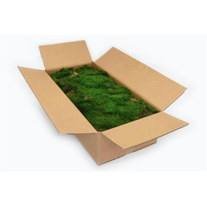 Platmos Gepreserveerd Bulk Ca. 2 M2