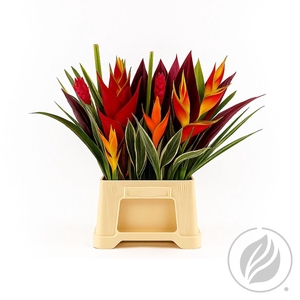 Heleconia Bq Havana Cafe