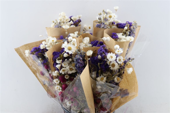 Dried Bouquet Blue