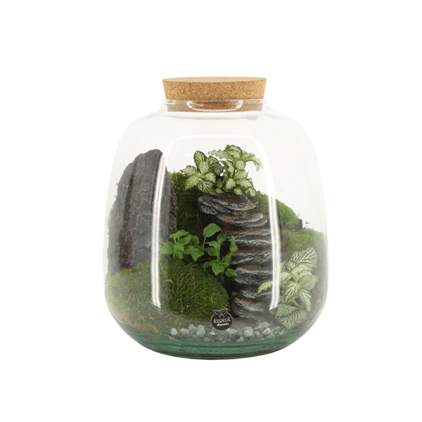 <h4>90773: Landscape terrarium arrangement</h4>
