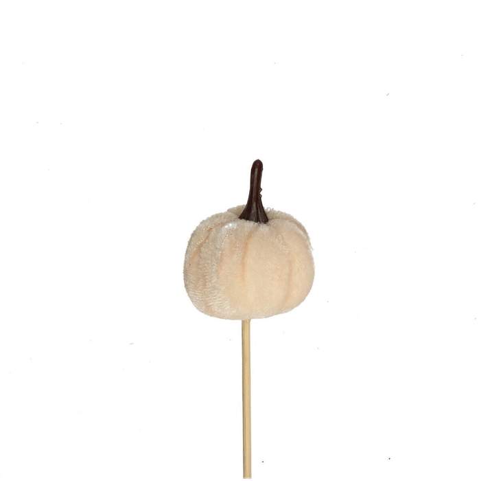 <h4>10cm Pompoen velvet 4cm</h4>