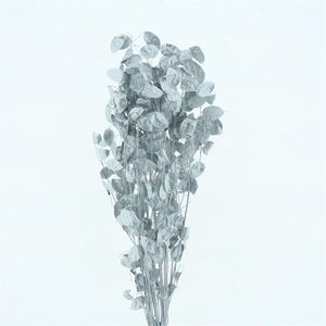 Dried Lunaria Silver P Stem