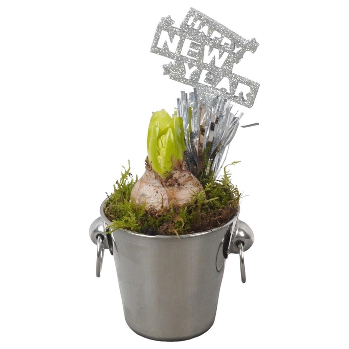 <h4>Arr.    Planten  L%</h4>