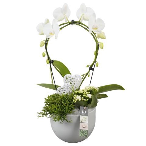 <h4>PTVMB2226 Arrangement Valentines-Mothersday in keramiek sierpot</h4>