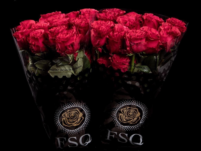 <h4>R GR Exotix Berry</h4>