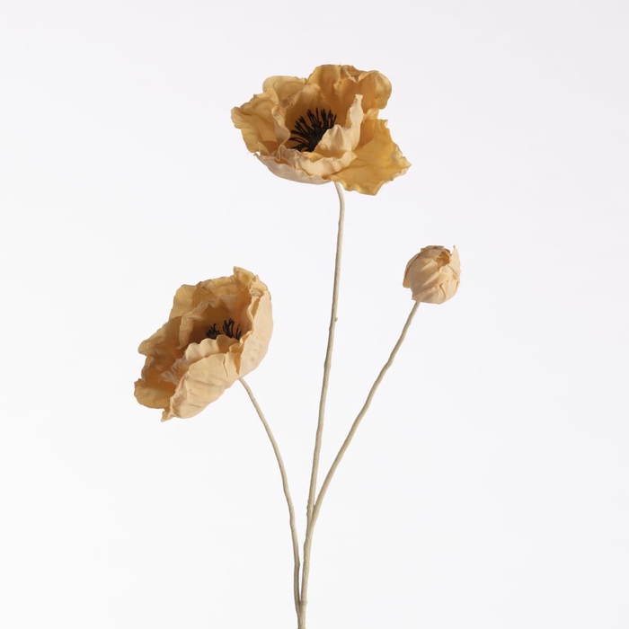 <h4>AF Papa x3 Dried L74cm Yellow</h4>