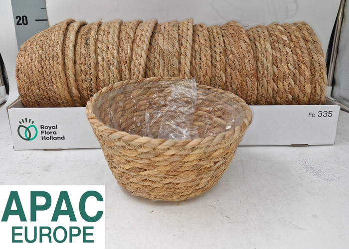<h4>MAND ZEEGRAS NATURAL D20XH10</h4>
