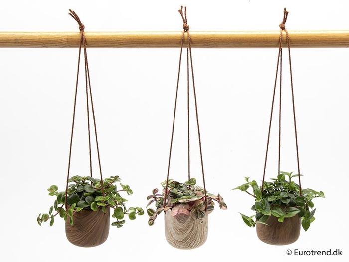 E 4672 ampel mini trælook