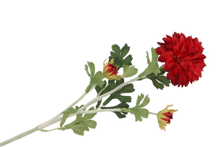 <h4>Silk Dahlia 3x Red 65cm Nm</h4>