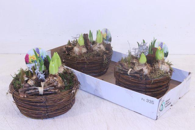 <h4>ARR BOL BASKET X2</h4>