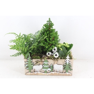 arr2 JS -  Kist kerst print picea