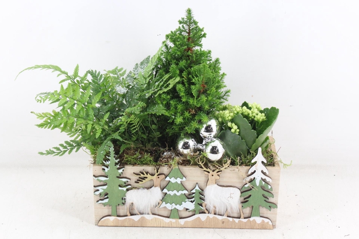 <h4>arr2 JS -  Kist kerst print picea</h4>