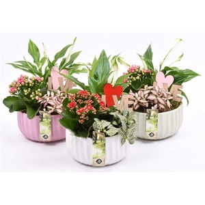 Keramiek schaal kleur mix 16,5cm