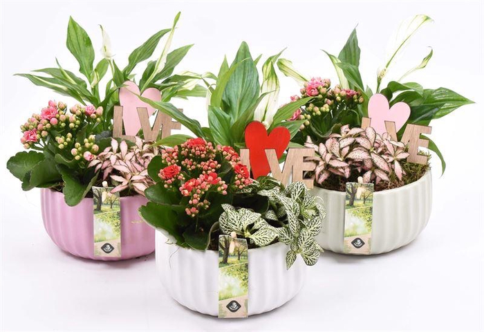 <h4>Keramiek schaal kleur mix 16,5cm</h4>