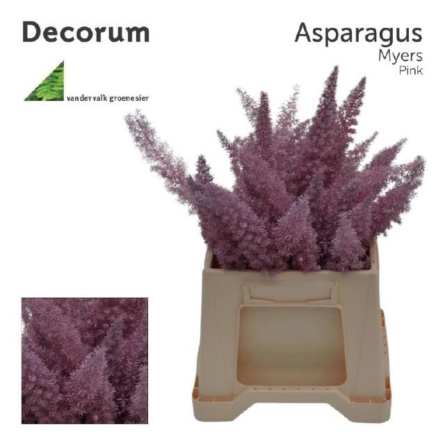 <h4>ASP OV KLB H%</h4>