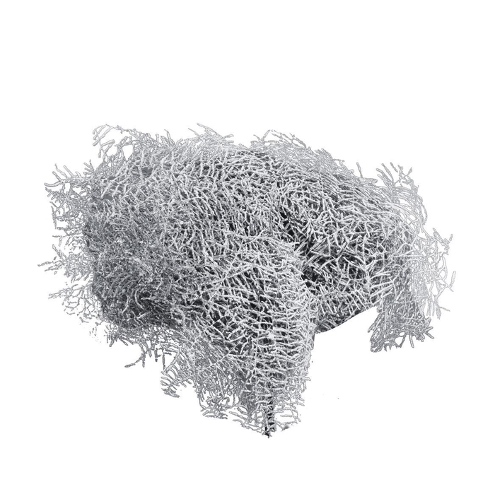 <h4>Koraalvaren Wit</h4>