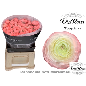 RAN SOFT MARSHMALLOW PINK x50