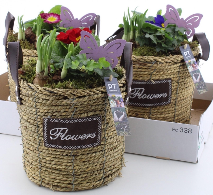 <h4>ARR PL IN SCHAAL</h4>