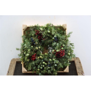 Wr Jeneverbes Christmas 30cm