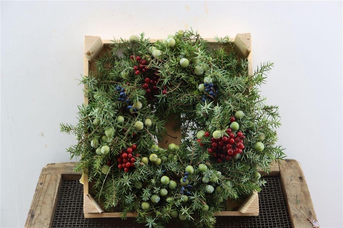 <h4>Wr Jeneverbes Christmas 30cm</h4>