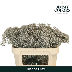 Gyps Xlence L70 Grey