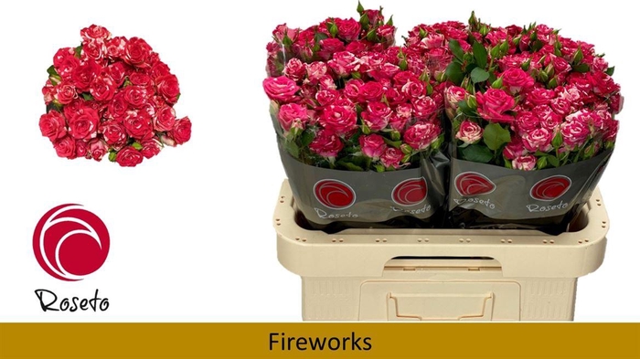 <h4>R Tr Fireworks(boxes!)</h4>