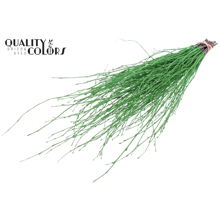 <h4>Birch 70cm 10stems per bunch Light Green</h4>