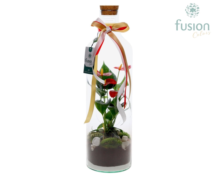 <h4>Green Bottle Fles Large Kerst met Anthurium</h4>