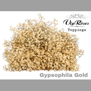 GYPS PA GOLD