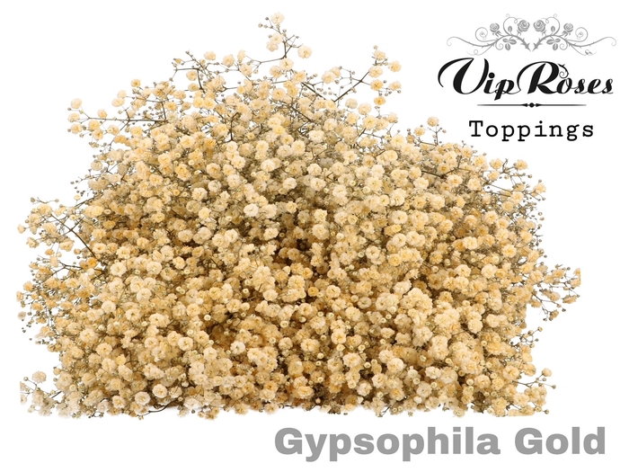 <h4>Gyps Pa Vip Gold</h4>