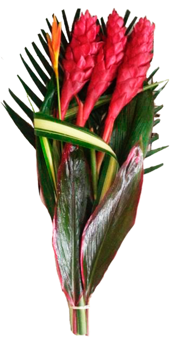 <h4>BQ Flat Ginger Red</h4>