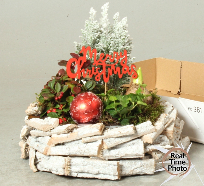 <h4>ARR TUINPLANTEN</h4>