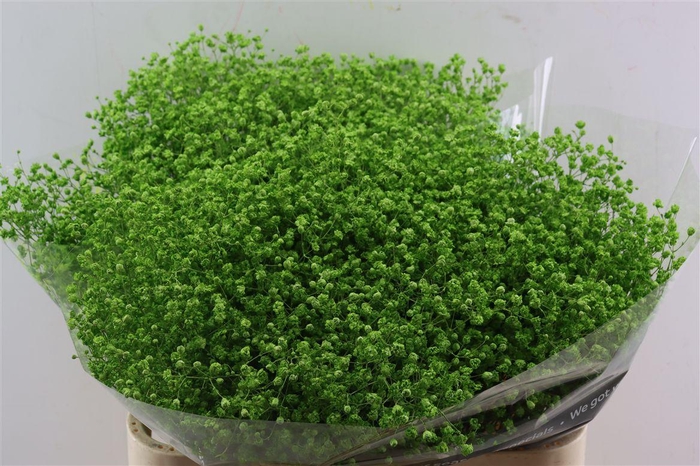 <h4>Gyps Grof Apple Green (dip)</h4>