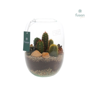 Green Bottle Isabella Large met Cactussen