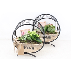 arr2 TD - Metaal wiel rond - roze/wit