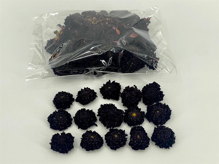 Dried Dahlia Heads Black Bag (50-60 Heads)