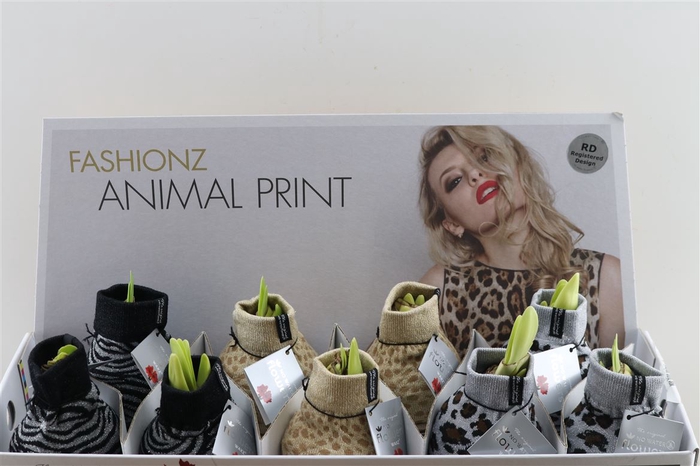 <h4>Wax Hipp Animal Mix</h4>