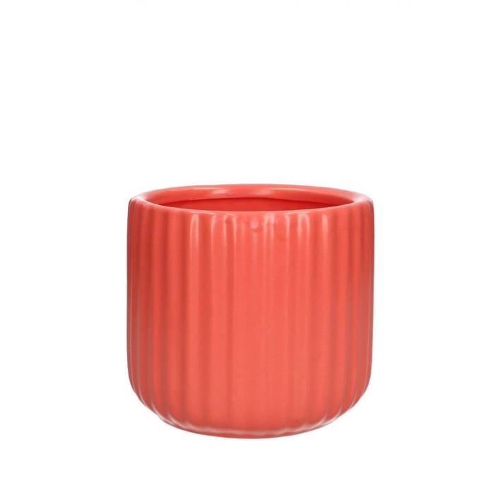 <h4>Ceramics Codi pot d12*10cm</h4>