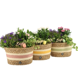 70894: Easter outdoor arrangement