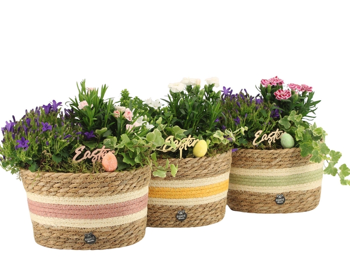 <h4>70894: Easter outdoor arrangement</h4>