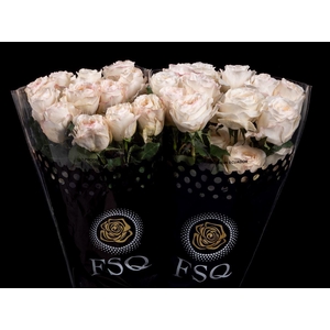 R GR Gar Vicky Gardens