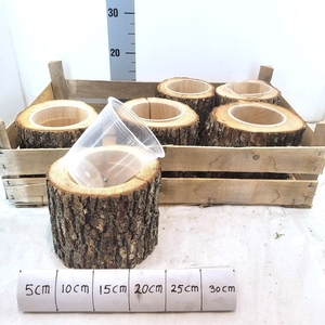 DECO WOOD TRUNK 18CM