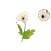 Silk Amazing Poppy Beauty Cream Xxxl 55x155cm