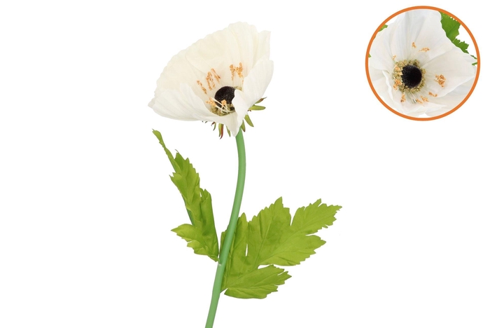 Silk Amazing Poppy Beauty Cream Xxxl 55x155cm