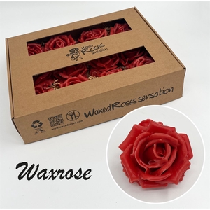 Zijde R Wx Caramel