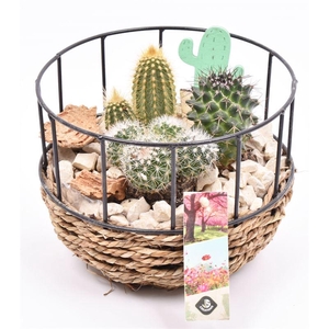 Gaasmand met touw 18cm