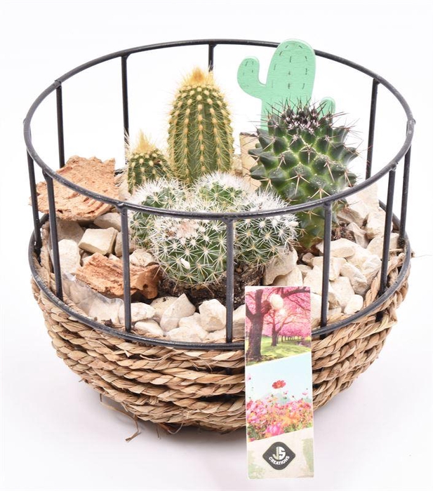 <h4>Gaasmand met touw 18cm</h4>