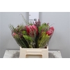 Protea Bq 3 Flowers