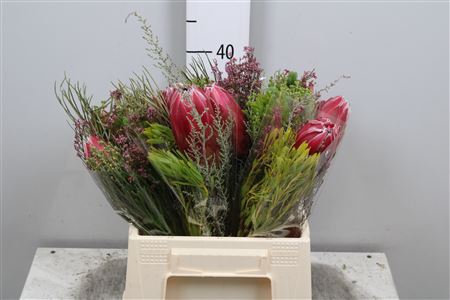 Protea Bq 3 Flowers