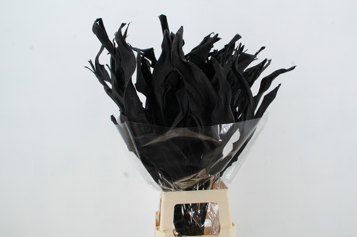 <h4>DF Strelitzia Leaf Black</h4>